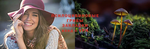 соль курить ск Абаза